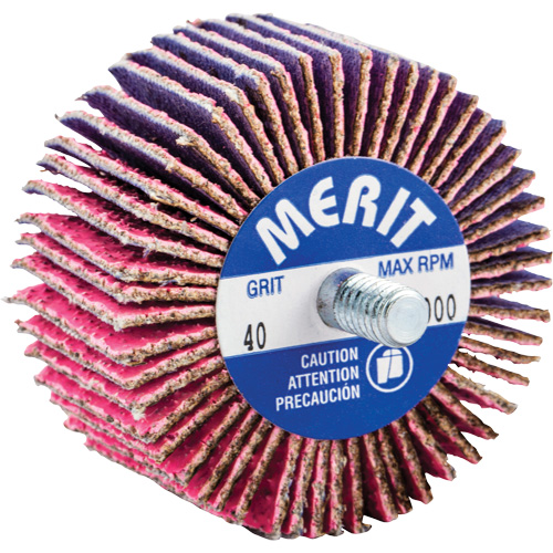 Threaded Mini Flap Wheel, Ceramic Alumina, 40 Grit, 2" x 1" x 1/4"-20 Ottawa Fastener Supply