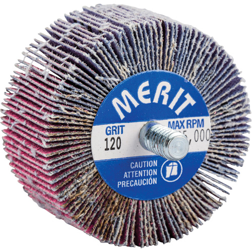 Mini-meule &agrave; lamelles filet&eacute;es, C&eacute;ramique d'alumine, Grain 120, 2" x 1" x 1/4"-20 Ottawa Fastener Supply