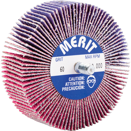 Threaded Mini Flap Wheel, Ceramic Alumina, 60 Grit, 3" x 1" x 1/4"-20 Ottawa Fastener Supply