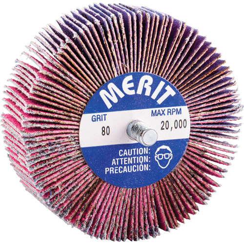 Mini-meule &agrave; lamelles filet&eacute;es, C&eacute;ramique d'alumine, Grain 80, 3" x 1" x 1/4"-20 Ottawa Fastener Supply