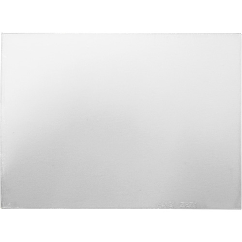 Plaque de s&eacute;curit&eacute; int&eacute;rieure/ext&eacute;rieure ArcOne pour masques Ottawa Fastener Supply