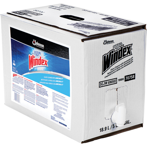 Nettoyant pour vitres Windex avec Ammoniac-D, 5 gal., Sac Ottawa Fastener Supply