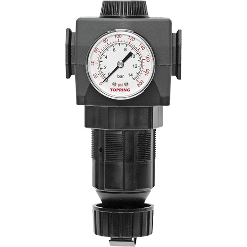 Regulator with Gauge Modulair 400, 3/4" NPTF, 125 PSI Max. PSI, In Line/Modular Ottawa Fastener Supply