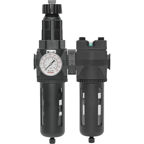 Filtre/d&eacute;tendeur & filtre coalescent Modulair 400 avec bol standard & drain manuel, 3/4" NPTF, 150 psi, Capacit&eacute; de 9,13 oz liq. Ottawa Fastener Supply