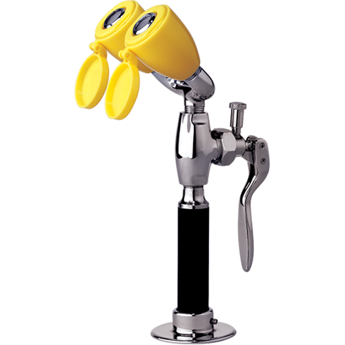 Drench Hose & Eyewash, Counter-Mount Installation Ottawa Fastener Supply