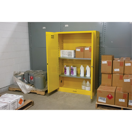 Armoire pour produits inflammables, 45 gal., 2 Porte(s), 43" La x 65" h x 18" p Ottawa Fastener Supply