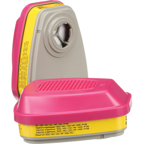 6000 Series Respirator Cartridges, Gas/Vapour Cartridge, Organic Vapour/Acid Gas/P100 Ottawa Fastener Supply