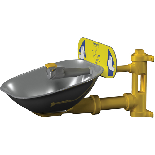 Poste de douche oculaire Halo, Installation Montage mural, Bol Acier inoxydable Ottawa Fastener Supply