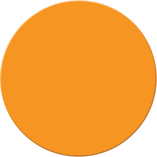 Marqueurs all&eacute;g&eacute;e/5S Armor Stripe, Cercle, 6" lo x 6" la, Orange, Plastique Ottawa Fastener Supply
