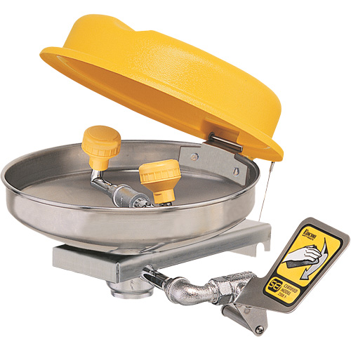 Poste de douche oculaire, Installation Montage mural, Bol Acier inoxydable Ottawa Fastener Supply