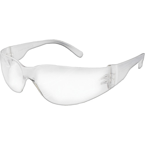 Lunettes de s&eacute;curit&eacute; s&eacute;rie E NOVA, Lentille Transparent, R&eacute;pond ou surpasse la norme CSA Z94.3 Ottawa Fastener Supply