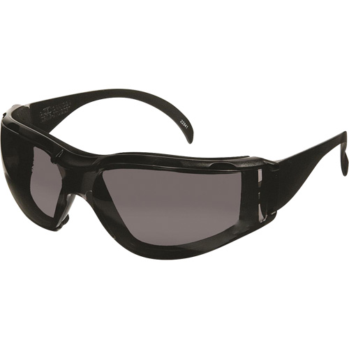 CeeTec DX Safety Glasses, Grey Lens, Anti-Fog/Anti-Scratch, Meets/Exceeds CSA Z94.3 Ottawa Fastener Supply