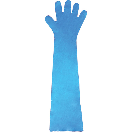 Disposable Gloves, Polyethylene, Powder-Free, Blue Ottawa Fastener Supply