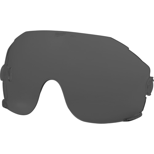 Eye Visor Replacement Lenses, Grey/Smoke Tint Ottawa Fastener Supply