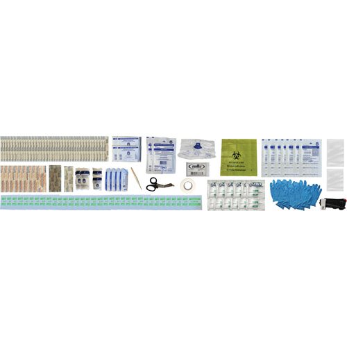 Shield First Aid Kit, Meets/Exceeds CSA Z1220-24 Type 2 Low-Risk Environment, Medium (26-50 Workers) Ottawa Fastener Supply