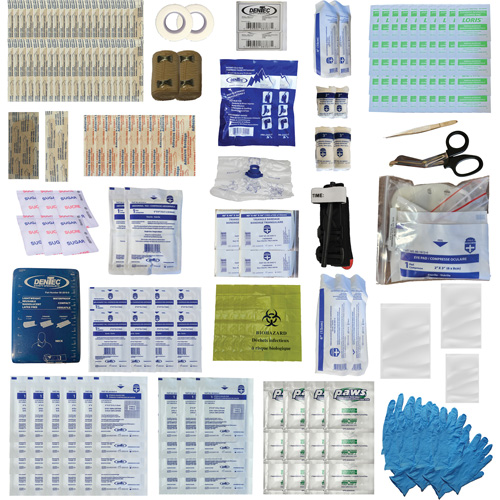 Shield First Aid Kit, Meets/Exceeds CSA Z1220-24 Type 3 High-Risk Environment, Medium (26-50 Workers) Ottawa Fastener Supply