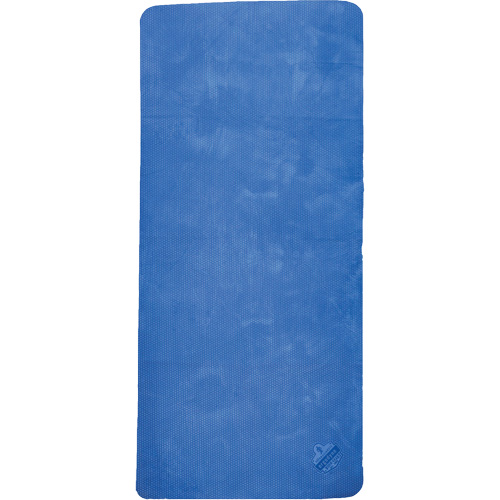 Chill-Its 6601 Economy Evaporative Cooling Towel, Blue Ottawa Fastener Supply