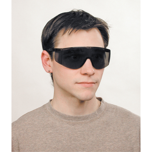 Lunettes de s&eacute;curit&eacute; Tacoma, Lentille Grise/fum&eacute;e, Anti-&eacute;gratignures, ANSI Z87+ Ottawa Fastener Supply