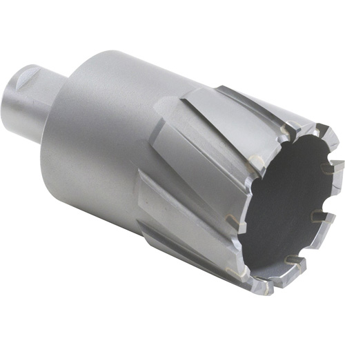 Couteau annulaire avec coupe &agrave; &acirc;me, Diam&egrave;tre de 1/2", Carbure, Profondeur de la coupe de 2", Tige 3/4" Ottawa Fastener Supply