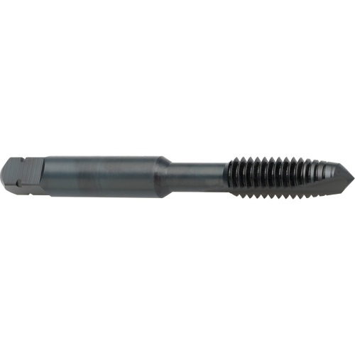 Taraud &agrave; entr&eacute;e h&eacute;licoidale, Acier rapide au cobalt, Filet de 8-32, 2-1/8" l Ottawa Fastener Supply