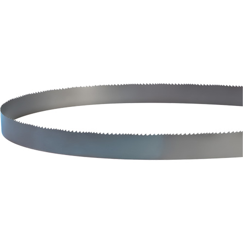 Lame soud&eacute;e pour scie &agrave; ruban, Bim&eacute;tal, 14' lo x 1" la x 4 - 6 dents par pouce Ottawa Fastener Supply