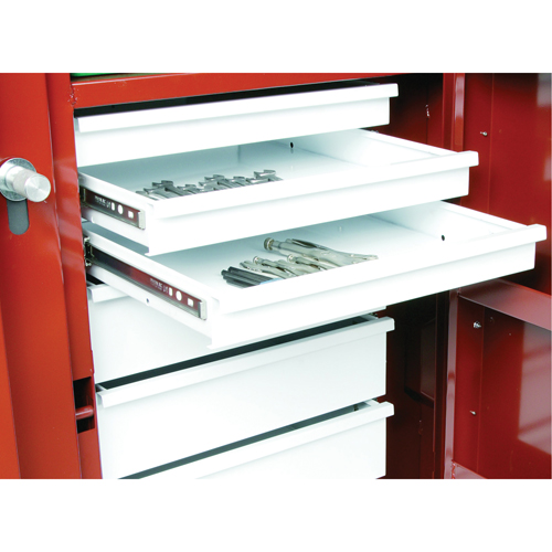 &eacute;tabli roulant, 49-7/8" la x 40-5/8" h x 26-7/8" p, Capacit&eacute; de 24,6 pi³ Ottawa Fastener Supply