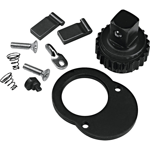 Ratchet Repair Kit Ottawa Fastener Supply
