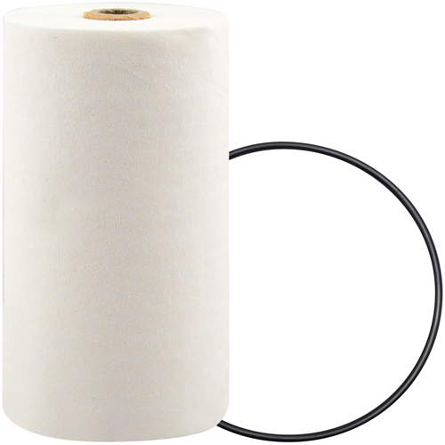 P7247 Filtre pour liquide de refroidissement &agrave; visser avec additif BTE Ottawa Fastener Supply