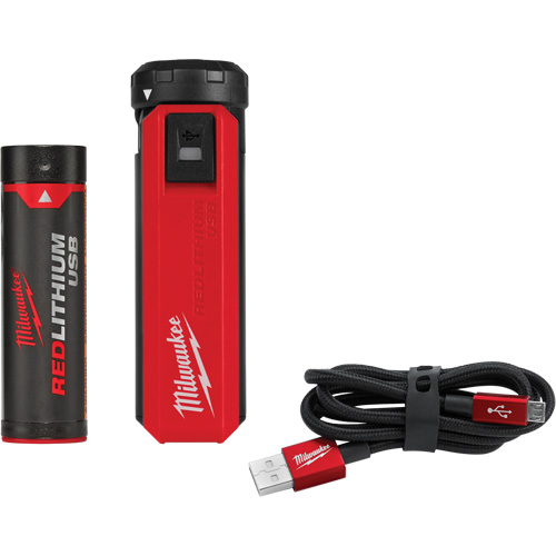 Trousse d'alimentation et de chargeur USB Redlithium, 4 V, Lithium-ion Ottawa Fastener Supply