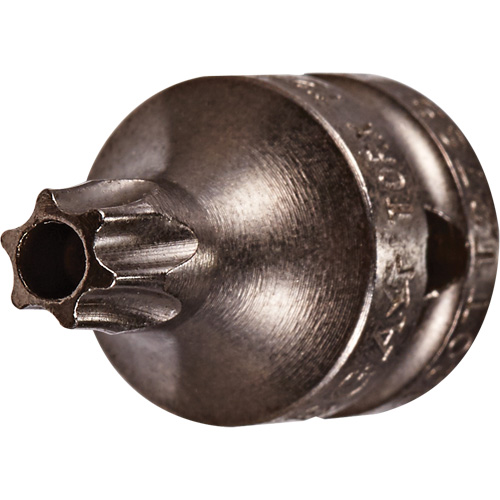 Socket Bit, Torx&reg; Tamper, 8 x 3/4" L, 1/4" Drive Ottawa Fastener Supply