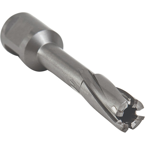 Core Cut Annular Cutter with Weldon Shank, 12 mm Diameter, Carbide, 55 mm Depth of Cut, 3/4" Shank Ottawa Fastener Supply