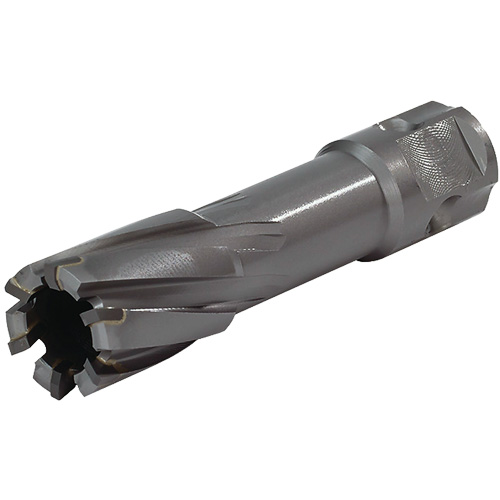 Universal Shank Annular Cutter, 24 mm Diameter, Carbide, 55 mm Depth of Cut, 3/4" Shank Ottawa Fastener Supply