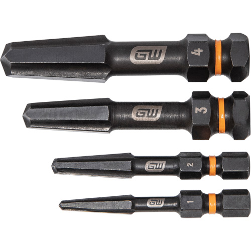 Jeu d'extracteur de vis Bolt Biter, Acier rapide, 4 Morceaux Ottawa Fastener Supply