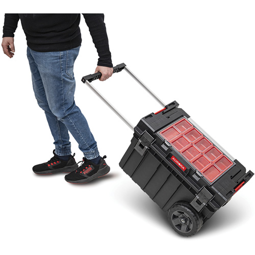 Arx&reg; Rolling Tool Chest, 23-4/5" x 16" x 15-3/5", Black Ottawa Fastener Supply