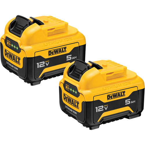 Bloc-piles Max*, Lithium-ion, 12 V, 5 Ah Ottawa Fastener Supply