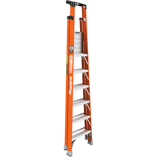 Safespace Platform Step Ladder, 6', 300 lbs. Cap. Ottawa Fastener Supply