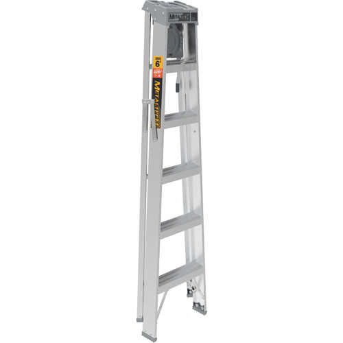 Step Ladder with Paint Tray, 6', Aluminum, 225 lbs. Capacity, Type 2 Ottawa Fastener Supply