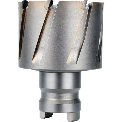 Fraise avec tenon &agrave; changement rapide Drive Hawg, Diam&egrave;tre de 2", Acier, Profondeur de la coupe de 1" Ottawa Fastener Supply