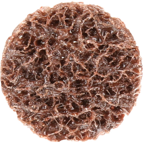 Standard Abrasives Quick-Change Surface Conditioning Disc, 3/4" Dia., Coarse Grit, Aluminum Oxide Ottawa Fastener Supply