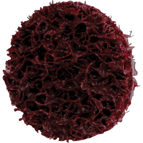 Standard Abrasives Quick-Change Surface Conditioning Disc, 3/4" Dia., Medium Grit, Aluminum Oxide Ottawa Fastener Supply