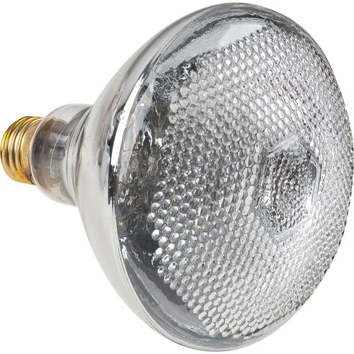 Economy Line Incandescent Lamps Ottawa Fastener Supply