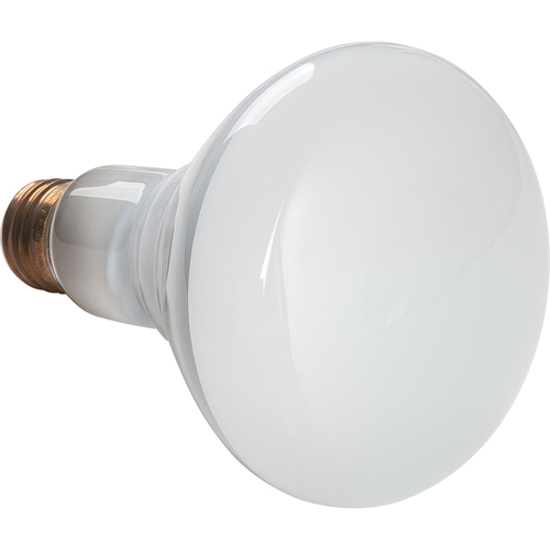 Economy Line Incandescent Lamps Ottawa Fastener Supply