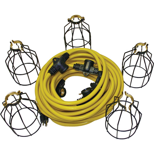 LED String Lights with Connector, 5 Lights, 50' L, Metal Housing Ottawa Fastener Supply