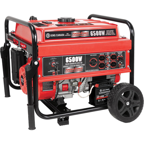 Electric Start Gas Generator with Wheel Kit, 6500 W Surge, 5000 W Rated, 120 V/240 V, 20 L Tank Ottawa Fastener Supply
