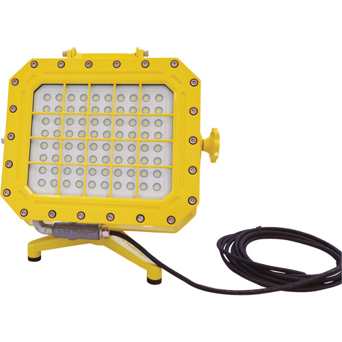 Explosion Proof Floodlight with Floor Stand, LED, 40 W, 5600 Lumens, Aluminum Housing Ottawa Fastener Supply