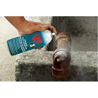 3&reg; Premier Rust Inhibitor, Aerosol Can Ottawa Fastener Supply