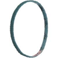 Scotch-Brite Surface Conditioning File Belts Ottawa Fastener Supply