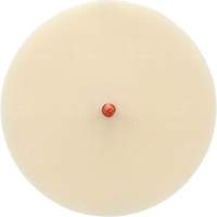 Disque Scotch-Brite 7502 pour retrait de colle et de bandes de moulage, 6" dia. Ottawa Fastener Supply