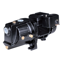 Dual Voltage Cast Iron Shallow Well Jet Pump, 230 V, 710 GPH, 1/2 HP Ottawa Fastener Supply