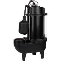 Cast Iron Effluent Pump, 4800 GPH, 120 V, 7.8 A, 1/2 HP DC844 | Ottawa Fastener Supply